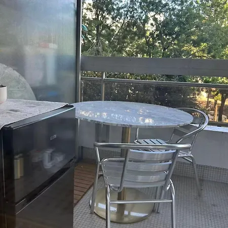 Appartement Elegant Spacious In Balard Paris